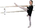 Wall Mounted Ballet Barres 